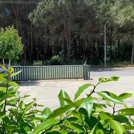 Garden Albania بيت شباب *